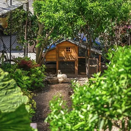 드 라 다르스 호텔